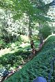 131 - Butchard Gardens  - IMG_1636